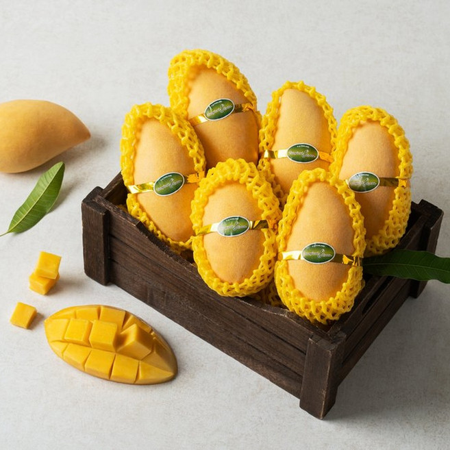 [제니네 제철과일] 산지직송 항공직송 태국 골드망고 제철 프리미엄, 1개, 5kg 내외 (18-20과 내외)