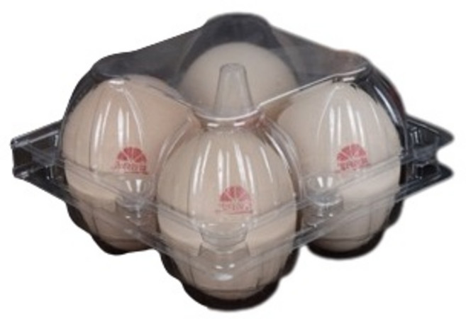 Danzwoor 雞蛋盒, 1個, 4入