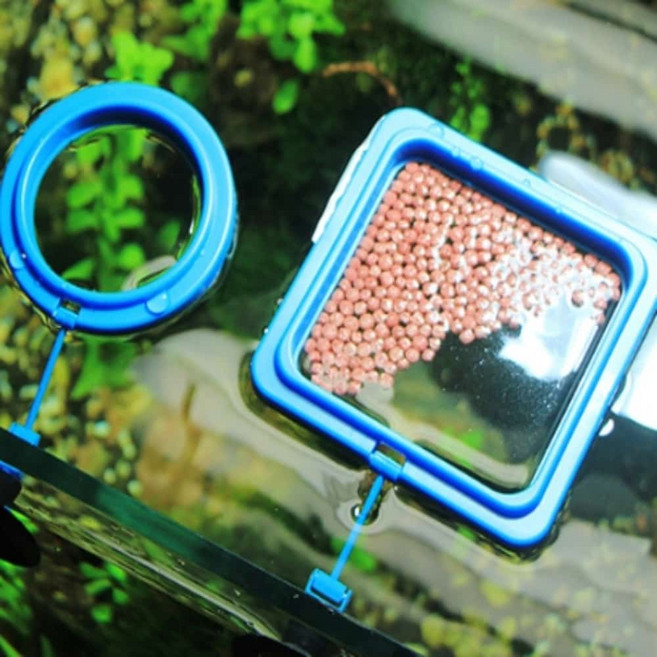 물에뜨는 물고기사료그릇 플로팅 피딩기 금붕어 구피, 2-열대어피딩틀-사각, 1개