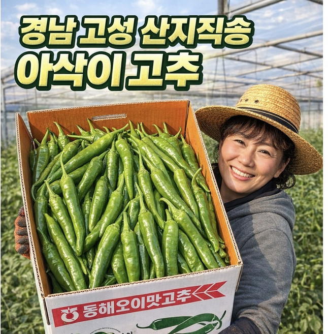 국내산 아삭이 고추 하우스재배 산지직송, 1박스, 1kg