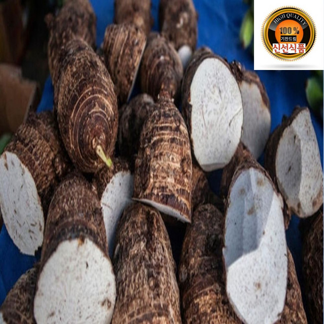 기찬드림 햇 토란, 1개, 3kg