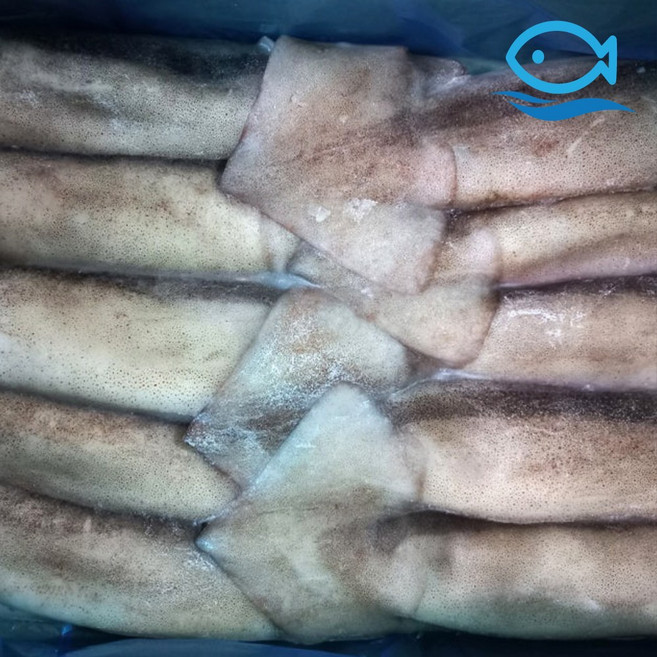 바다더해 냉동 오징어 3kg 1박스 10미 통오징어 육동오징어 베이트, 1개