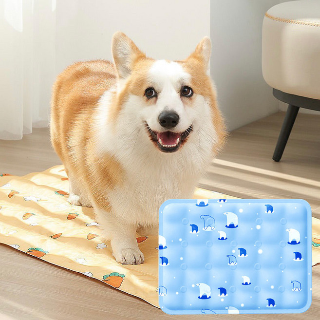 하임하이 반려동물 세척쉬운 양면 쿨매트, 북극스카이, 1개