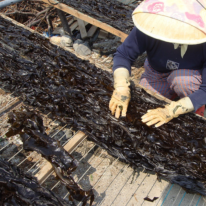 자연산 돌미역대장각 울산 주전 귀한 고급 미역 돌미역 산모용 매년 한정수량 쪽빛누리, 1.7kg, 1개