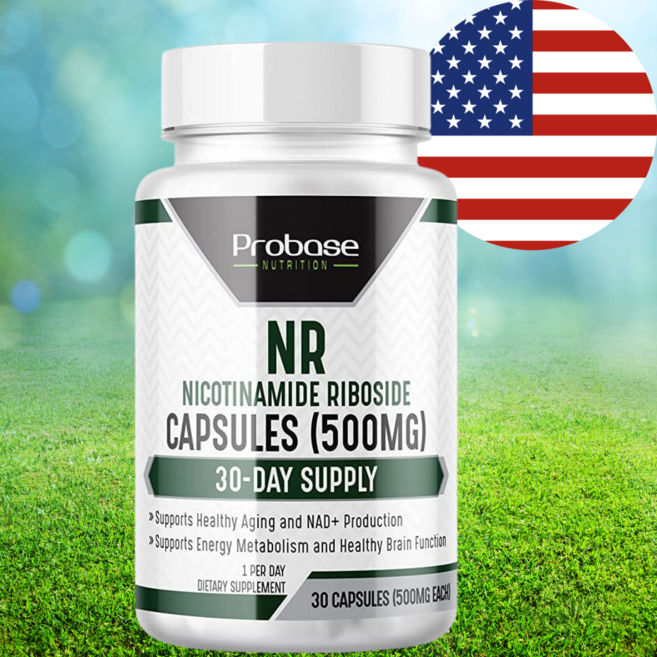 항산화 항노화 면역력 세포활성화 NMN대체 효능 좋은 영양제 NR 500mg 30캡슐, 1개, 60정