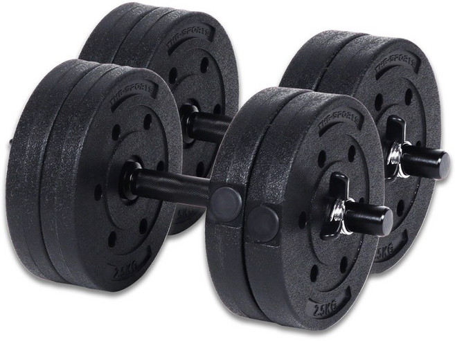 더스포츠 Evo 블랙 덤벨 무게 조절 아령봉 세트, 2개, 12kg