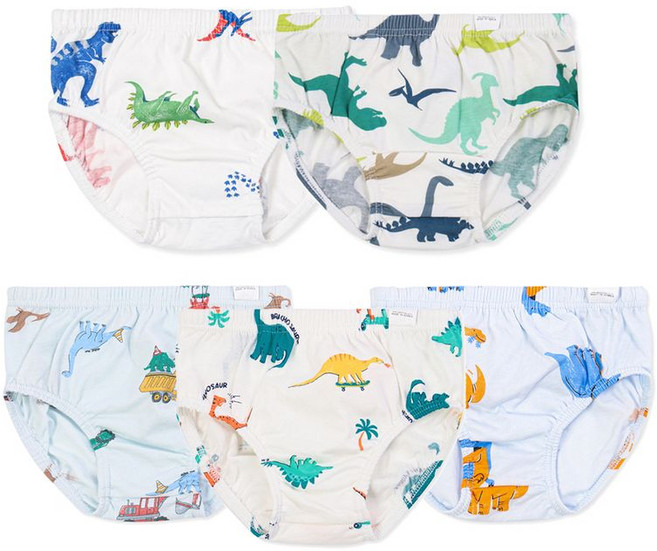 오가닉맘 남아팬티 공룡무늬 남아삼각팬티 5종세트