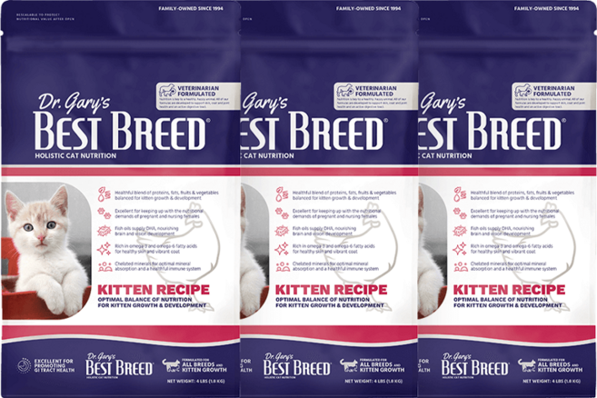 베스트브리드 고양이 홀리스틱 다이어트 기능성 사료, 키튼, 1.8kg, 3개