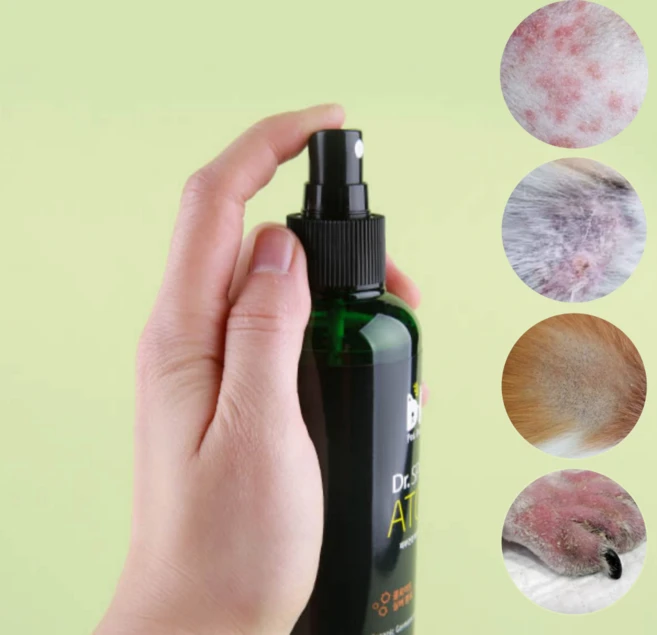 강아지 고양이 피부병 스프레이 약 피부염 연고 귀염증 발사탕 곰팡이성 피부염 가려움증 농피증 스프레이 - 쿠팡