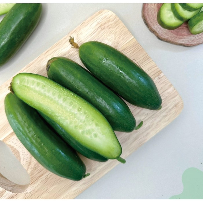 수분 가득 작고 귀여운 미니오이 500g, 1개