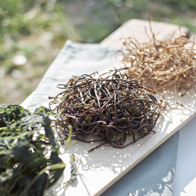 온유네 국산 햇 고사리 지리산 건나물 취나물 곤드레 시래기 토란대 고춧잎 고구마줄기 무말랭이 호박고지 고춧잎 아주까리 유채, 1-1 햇 건고사리 50g[일반농산물], 1개
