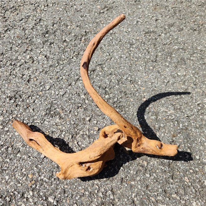 혼우드 타입 와일드 유목 중(30cm 내외) 1개