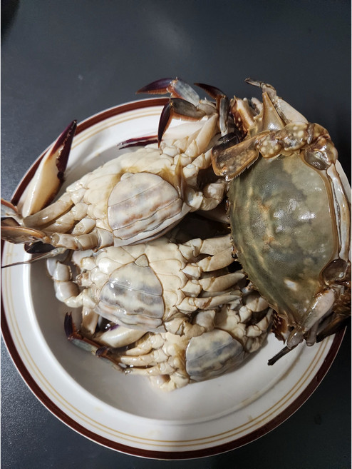간장게장 서해안 알배기 암꽃게장 2kg (4-5미), 우체국쇼핑 서해안 알배기 암꽃게장 2kg 4-5미 간장, 1개
