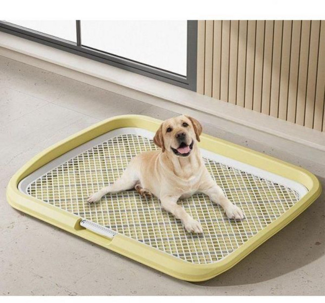 강아지 대형견 배변판 배변패드 반려견 화장실 배변기 소변기 소형견 중형견 배변 소변 패드, 특대 살구노랑, 1개