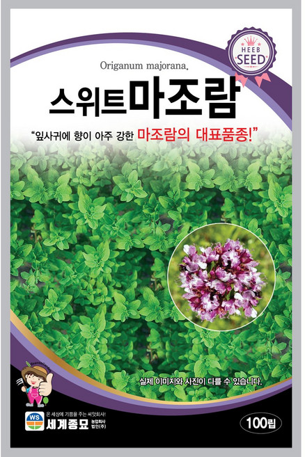 세계종묘 스위트 마조람 100립, 1개