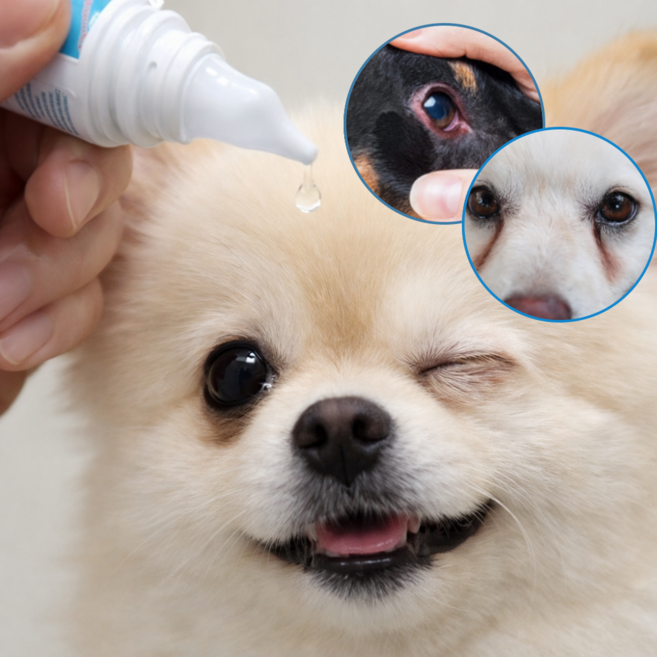 강아지 고양이 인공눈물 눈충혈 결막염 안구 세정제, 1개, 60ml