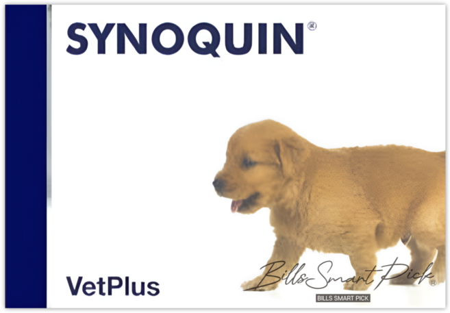 벳플러스 강아지 독 관절 영양제 사이노퀸그로스 소형견 슬개골 케어, 60정, 뼈/관절강화, 1개