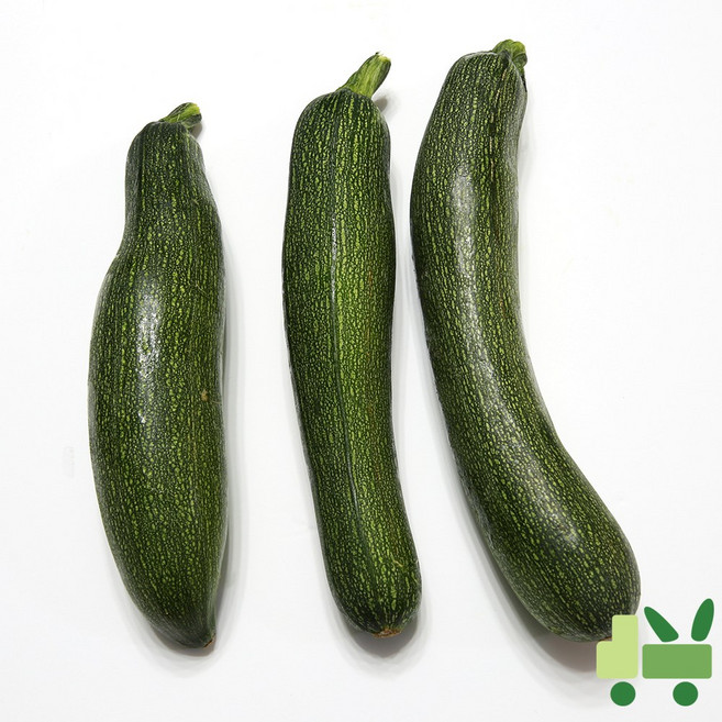 사라상회 쥬키니 10Kg (보통), 1개