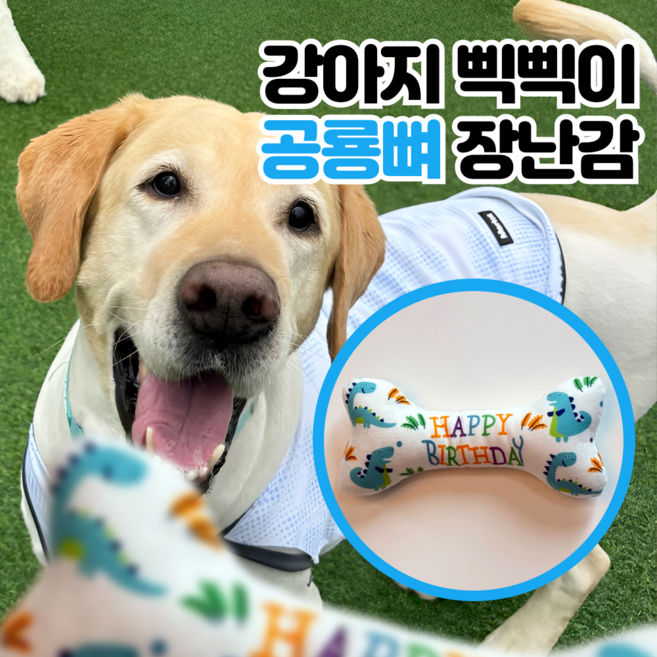 LETOJ 강아지 공룡 뼈다귀 장난감, 블루, 1개