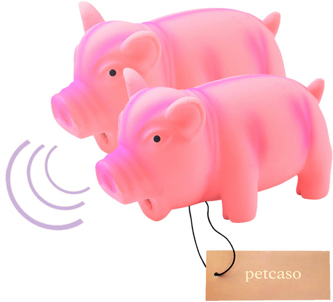 펫카소 강아지 라텍스 장난감 삑삑이 돼지 고급형, 2개