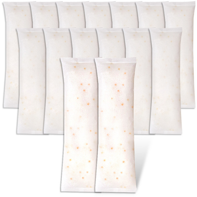 B타입 파워업 실리카겔 (옷장 서랍장 신발장 의류보관 등) 가정용제습제 재사용 가능, 100g, 10개