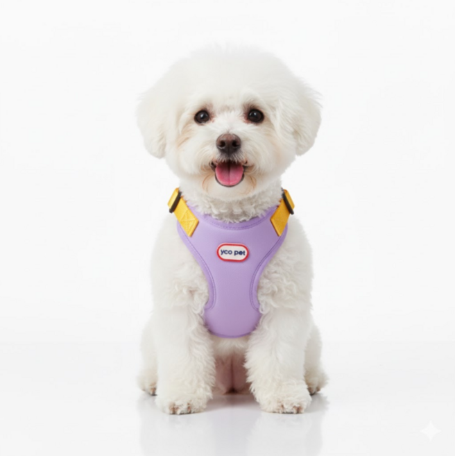 펫올웨이즈 강아지 하네스 투톤 리드줄 세트, 조절형 하네스, 퍼플