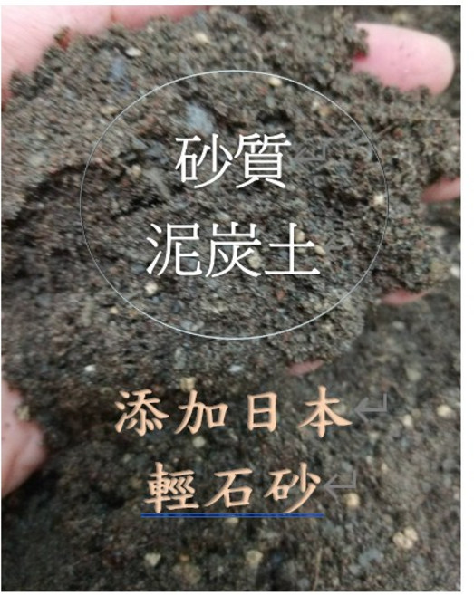 砂質泥炭土 / 多肉扦插、育苗專用培養土, 1個, 1公升(約0.8公斤⚠️多包合併1包出貨, 店到店上限10公升