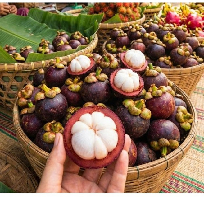 동명 쫀득달콤 과일여왕 망고스틴, 500g