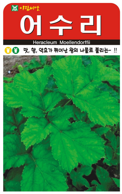 AR 어수리(50립) 산채종자 씨앗, 1개