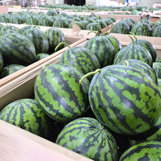 그린가든 고당도 꿀 수박 특품수박, 1개, 7-8kg