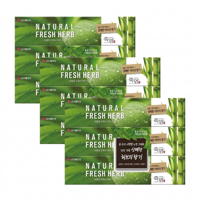 [치과전문의 죽염치약 추천1위]미백 잇몸 시린이 충치 치석 올케어 "죽염내추럴후레쉬허브치약" 6+3(사은품) 총 9P +무료배송]