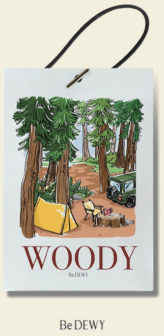 비듀이 퍼퓸 샤쉐 차량용 에어 프레셔너 20g 4종, 우디(WOODY), 1개