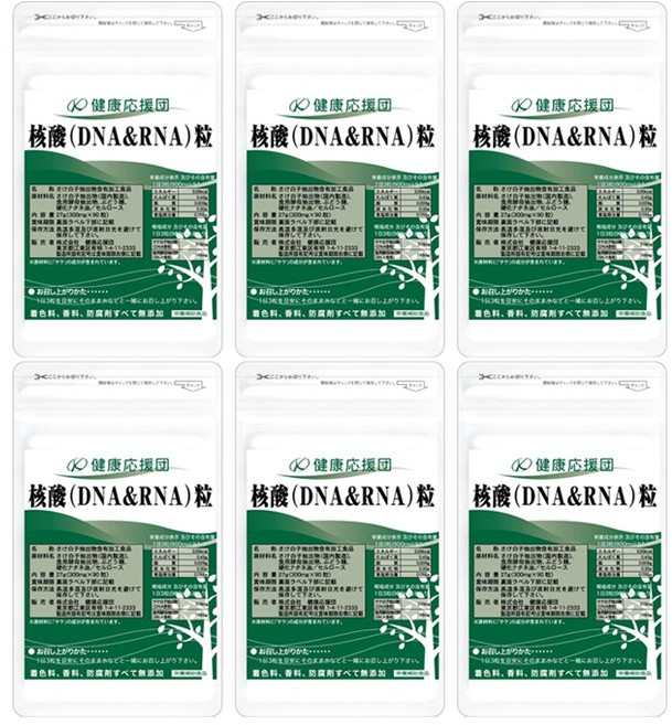 핵산 DNA RNA 90정 6개 연어이리 켄코오엔단