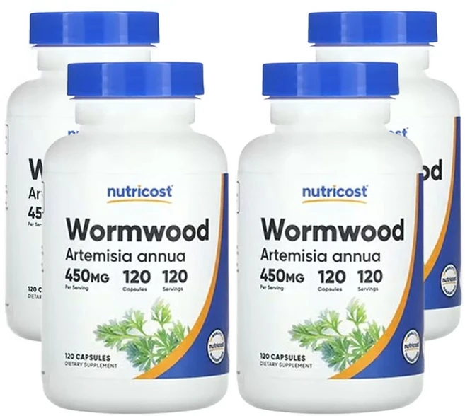 뉴트리코스트 약쑥 450mg 120캡슐, 120정, 4개 - 쿠팡