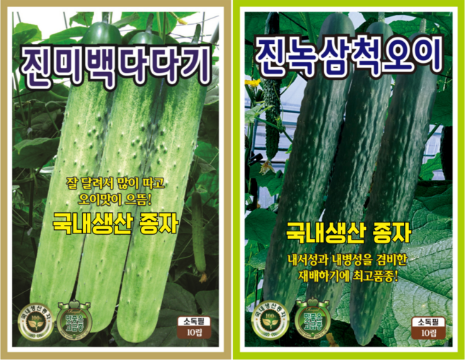 오이씨앗 2종 다다기오이 씨앗+가시오이씨앗 오이 키우기 채소 종자 텃밭, 1개