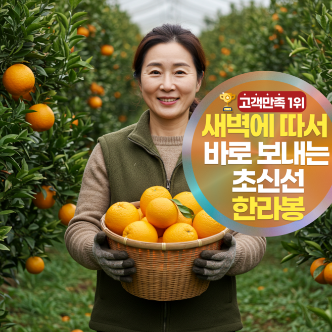 [당도17브릭스] 삼시세끼연구소 초신선 제주 한라봉 선물용, 1개, 1.5kg(명품 소과)