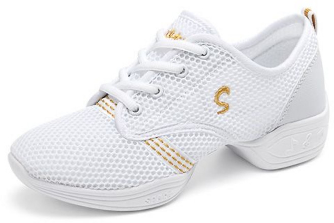 DODORORO 여성용 초경량 에어 메쉬 발편한 스포츠 댄스화 사계절 라인댄스화