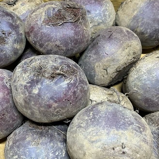 국내산 레드비트 (1kg 2kg 3kg)가락시장 직배송 푸르름팜, 1KG, 1개