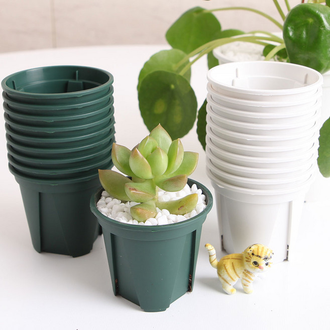 세경팜 일본 슬릿화분 원형 10개입 카네야 정품 삽목, moss green, 일본슬릿화분(8호)10개, 10개