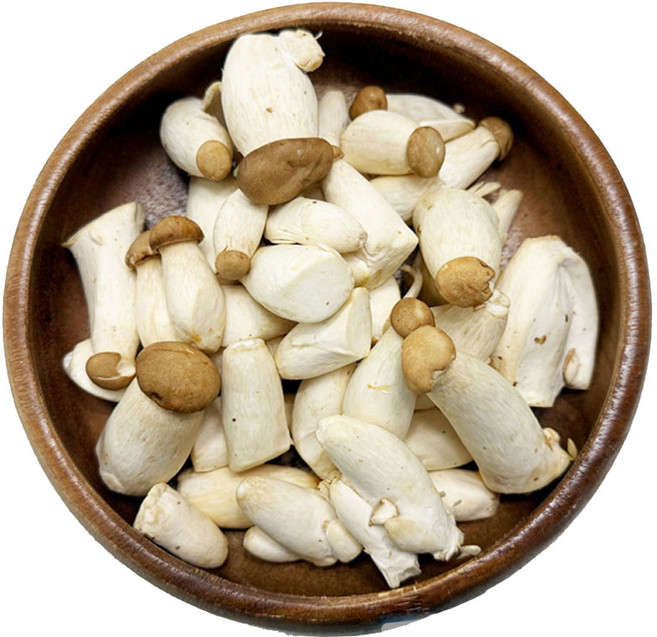 야채이야기 맛있는 국산 미니새송이버섯 10봉지 1세트 꼬마새송이 콩알새송이, 1박스