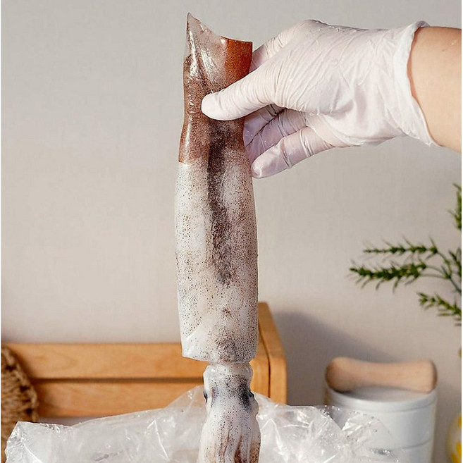 국내산 당일조업 서해안 생물 오징어 3~5미(700g~800g내외), 1세트, 700g~800g