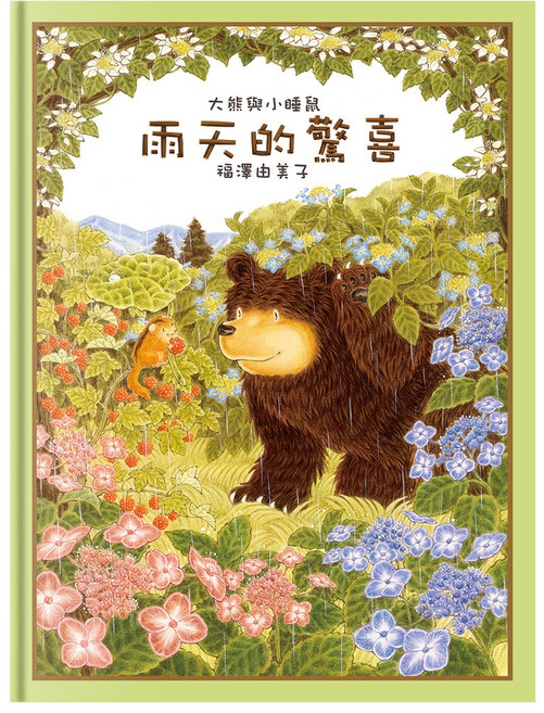 大熊與小睡鼠 雨天的驚喜 兒童繪本 啟發想像力 親子共讀, 球球館
