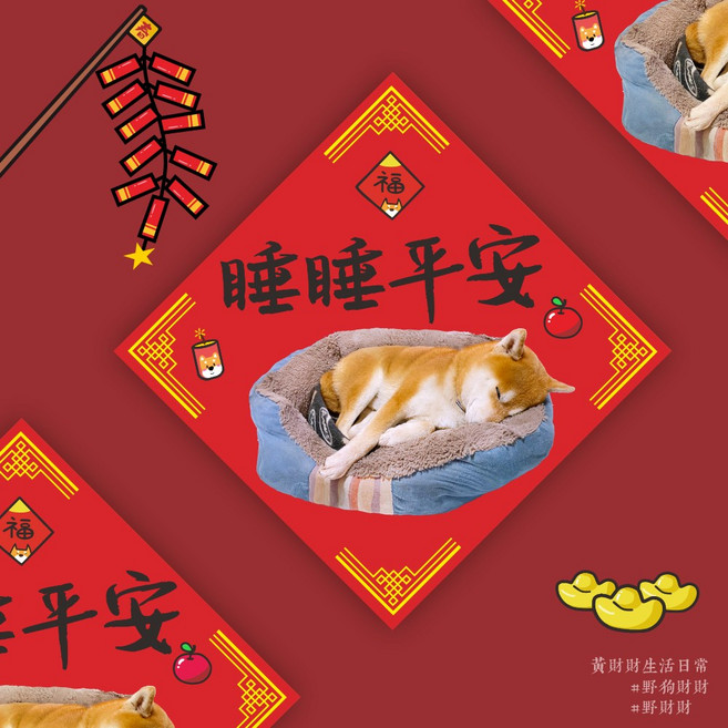 野財財 雙面柴犬春聯 睡睡平安 14.5公分方形寵物春聯 歲歲平安新年裝飾