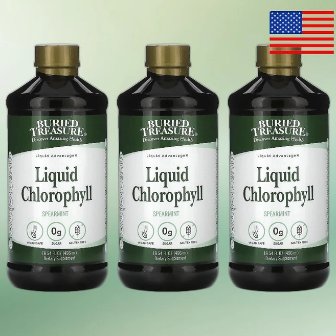 Buried Treasure 액상 엽록소 스피어민트 맛 480ml(16.23fl oz) Liquid Chlorophyll Spearmint 3통, 480ml 3병, 480ml - 쿠팡