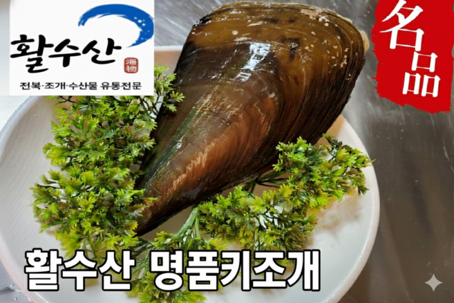 [활수산] 왕키조개 1+1=2마리 큼지막한 관자 구이용 찜용, 1개, 2kg