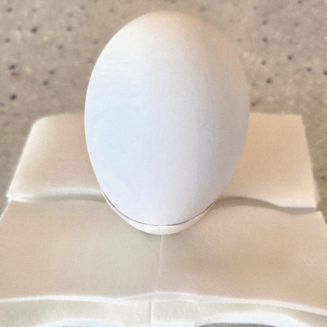 [부화용] 거위알 건강한 엔버덴 유정란6개, 160g, 6개