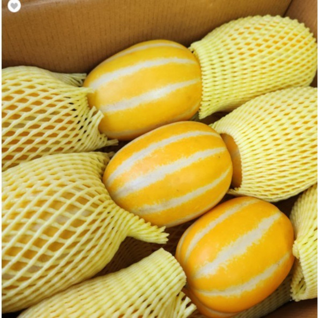 성주참외 고당도 꿀참외 가정용 중소과 10k (36-50과내외) 아삭 달콤한 식감 산지직배송 상세페이지필독, 1박스, 3