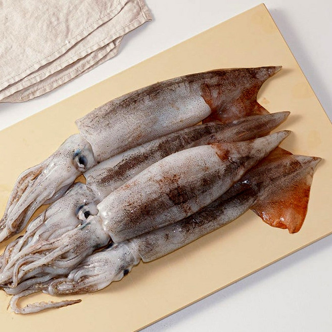 국내산 당일조업 서해안 생물 오징어 3~5미(700g~800g내외), 1세트, 700g~800g