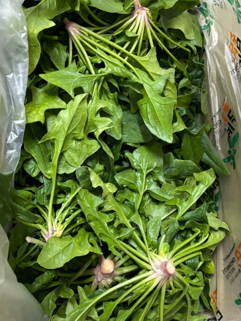 [명품시금치] 비금도 섬초 시금치, 1개, 1kg