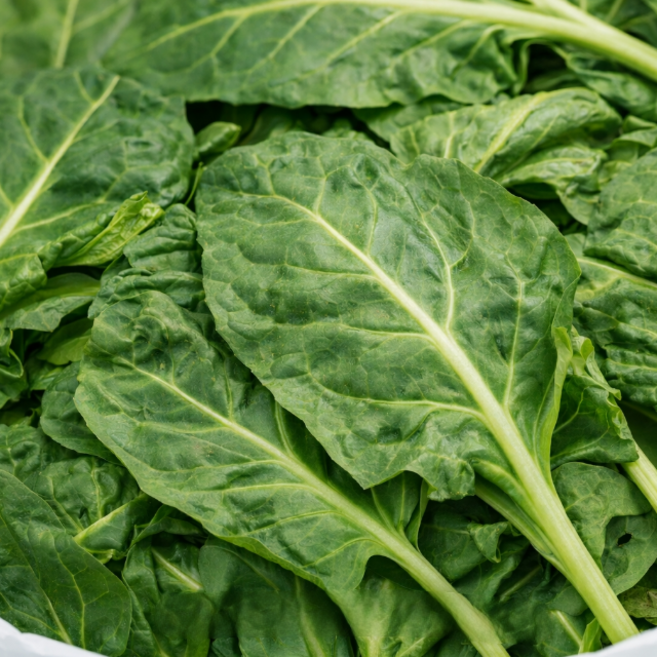 친환경 근대국 연한 국거리 근대 신선채소, 2kg, 1개, 2kg